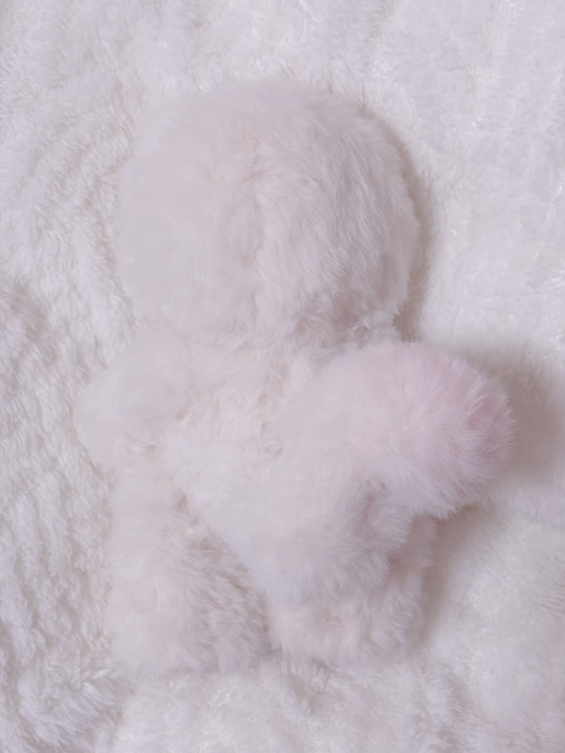 테디테일즈 리메이크 북극여우 상품이미지3