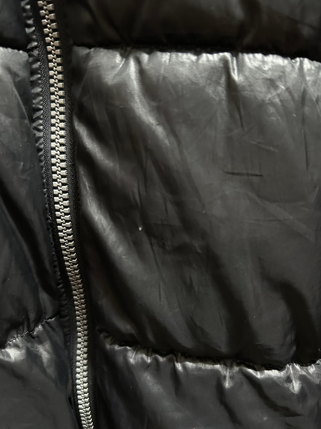 도그타운 패딩 상품이미지7