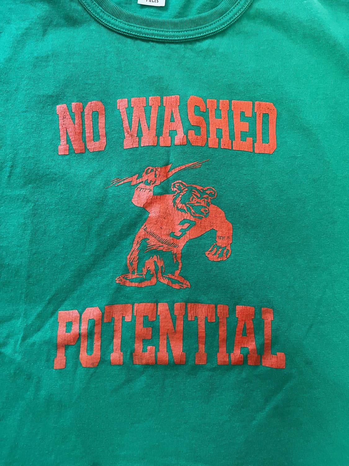 컬렉트피시스 반팔 L 상품이미지4