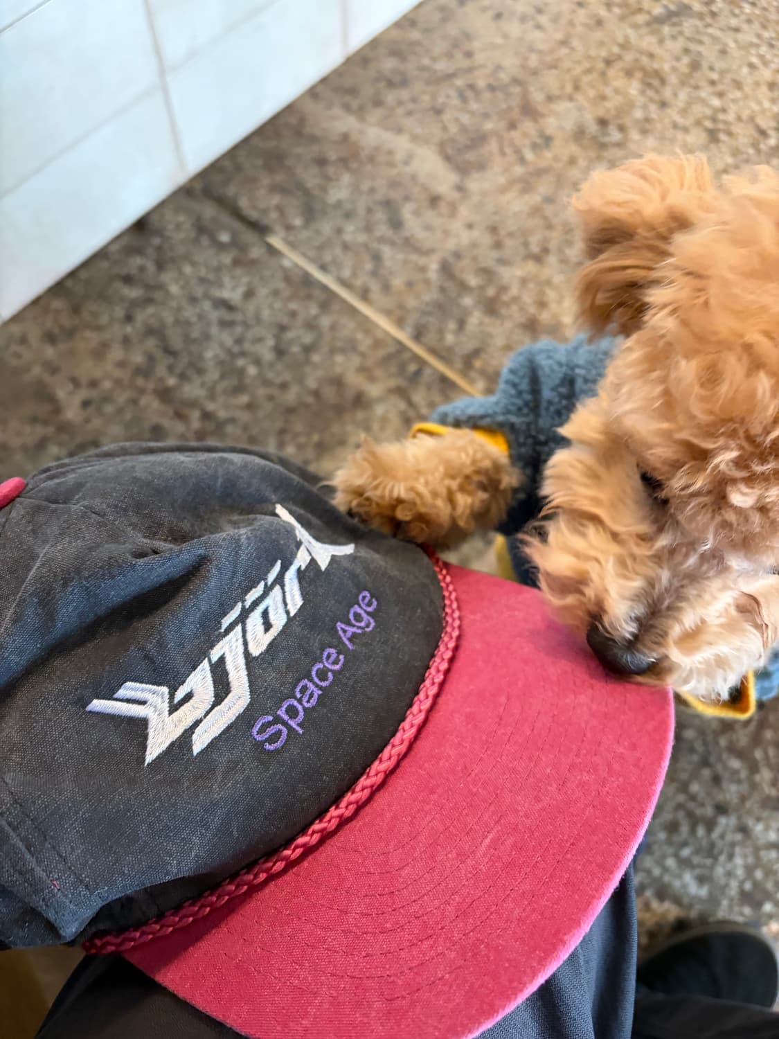 90s Bjork cap 상품이미지5