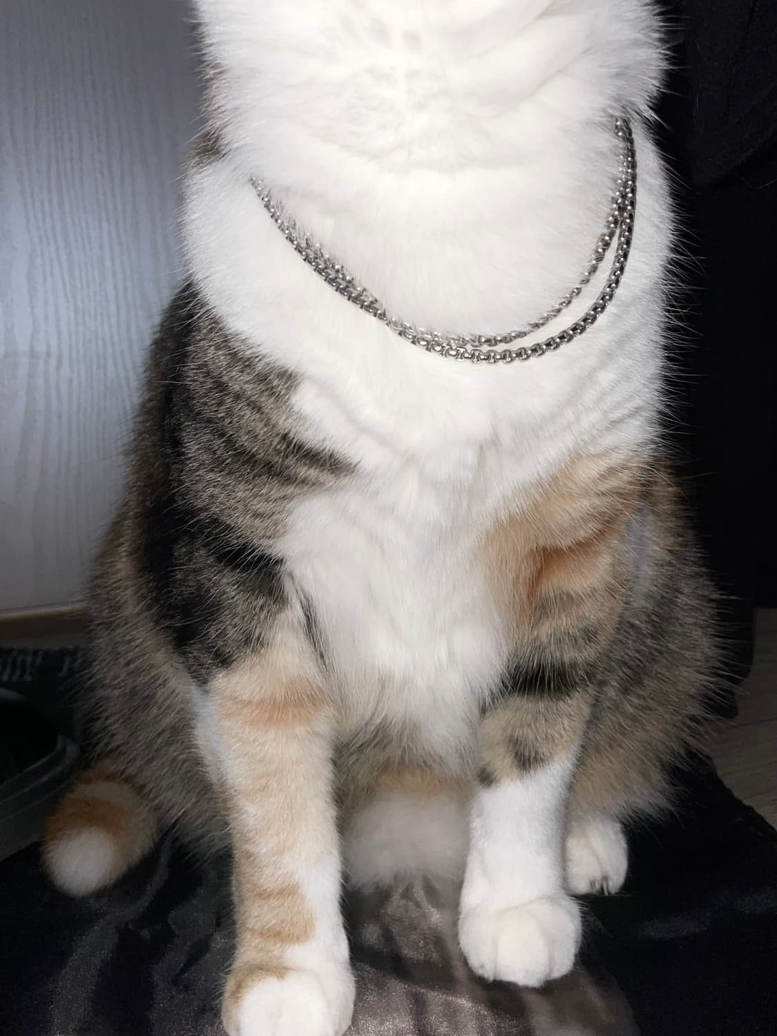 00s Chain Necklace 유니섹스기본실버체인레이어드목걸이 팔찌 상품이미지1