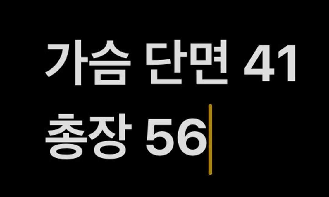 [정품] 롯데자이언츠 올드 유니폼 노마킹 b10 상품이미지8