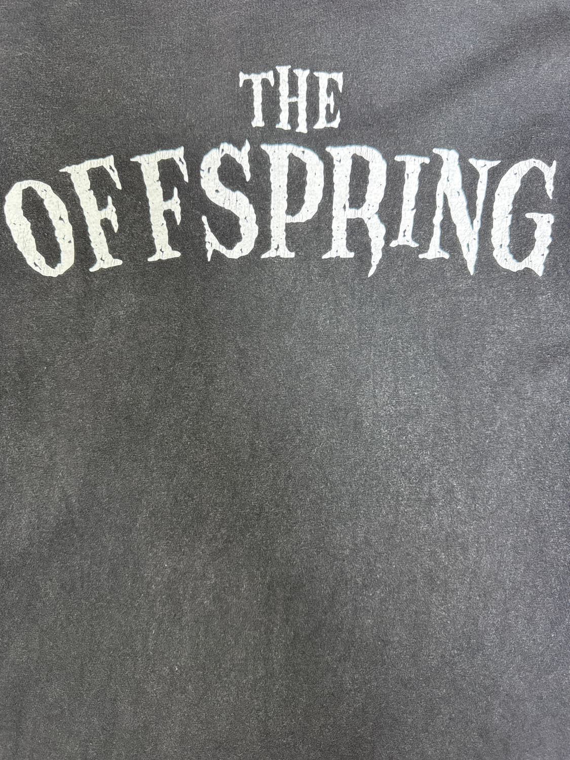 빈티지 90s 오프스프링 IXNAY ON THE HOMBRE 롱슬리브 L 상품이미지7