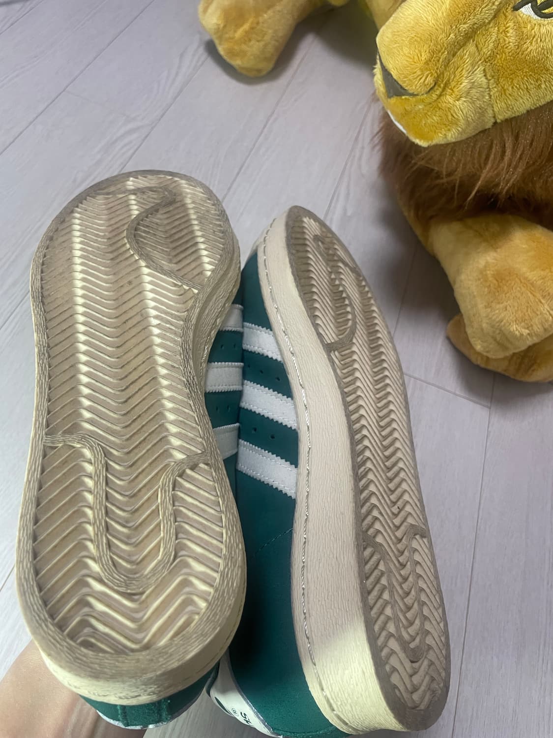 슈퍼스타 82 - 그린:오프화이트 상품이미지5