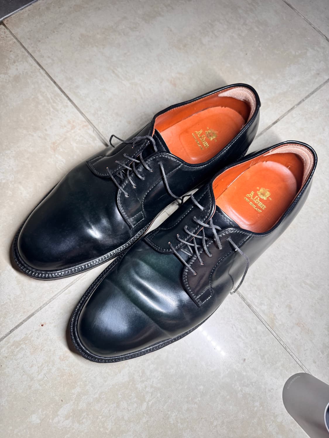 알든 9901 블랙 코도반 us13 eee 상품이미지3