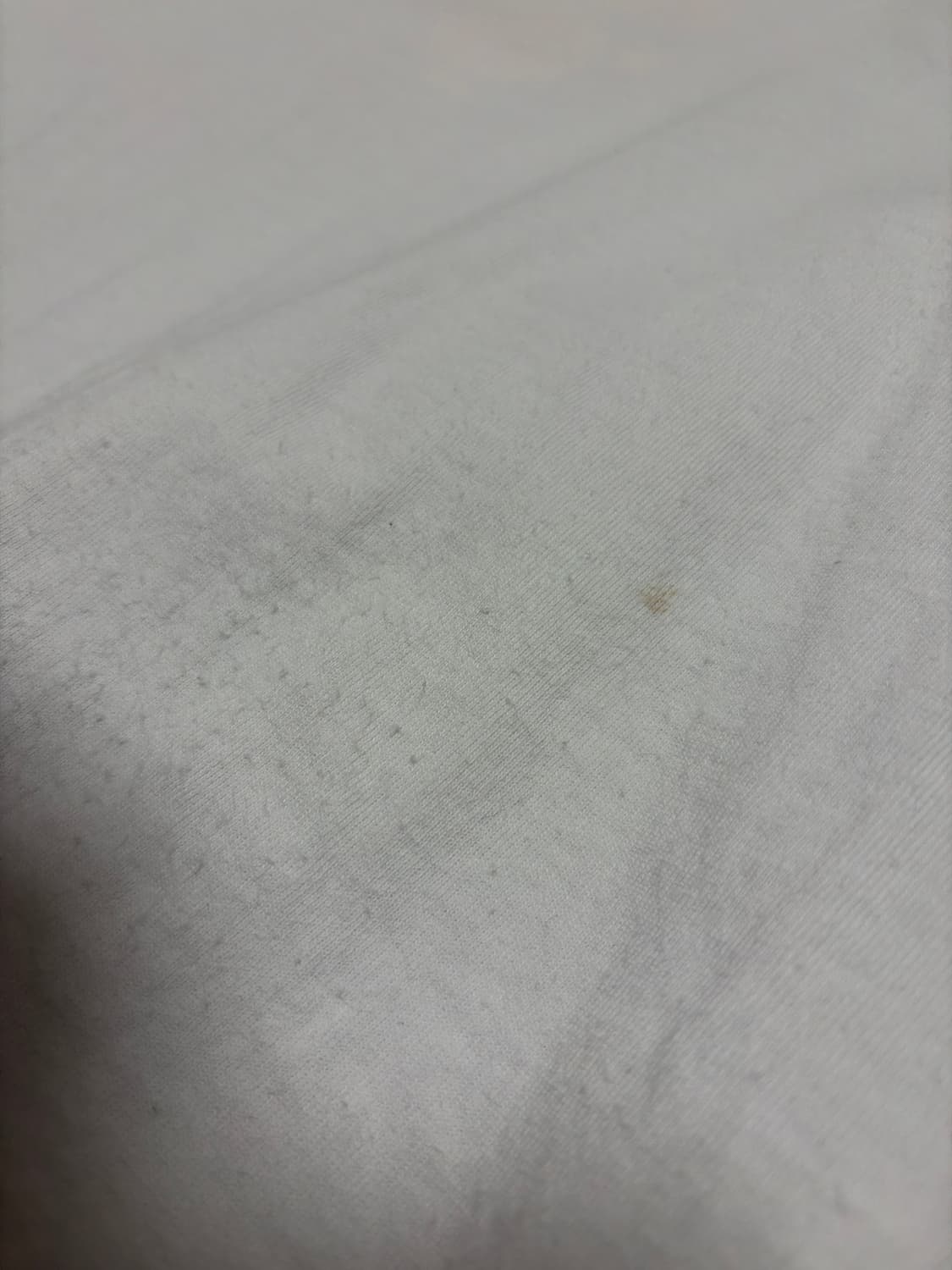 베이프 반팔 상품이미지3