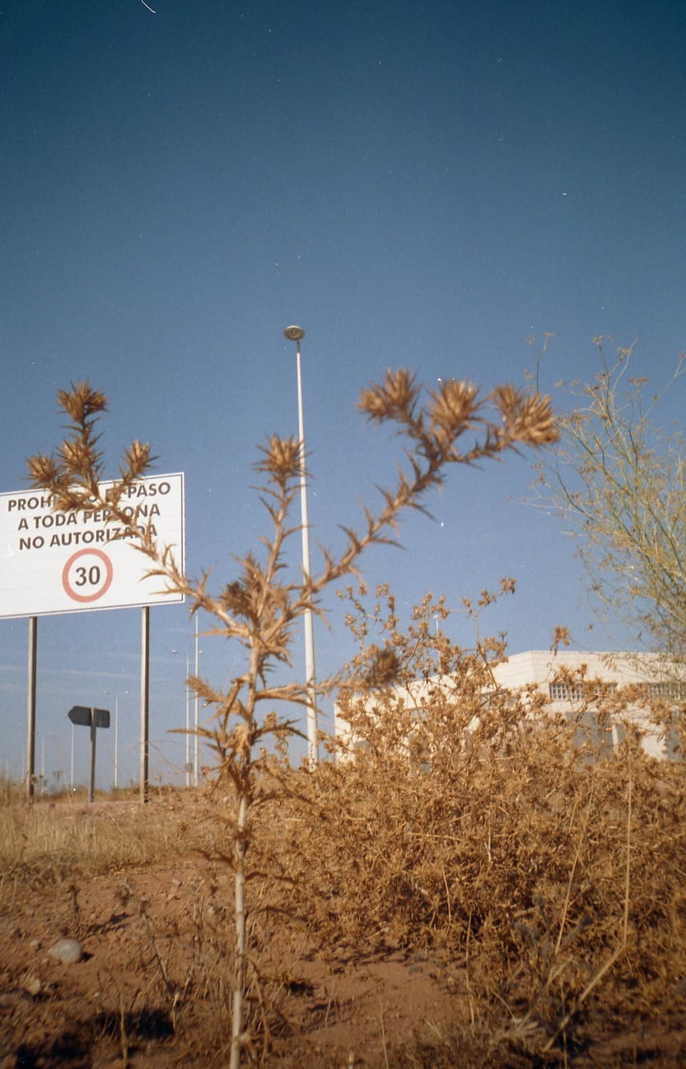 작례O 레트로 감성 hanimex 35mp 필름카메라 빈티지 필카 상품이미지6