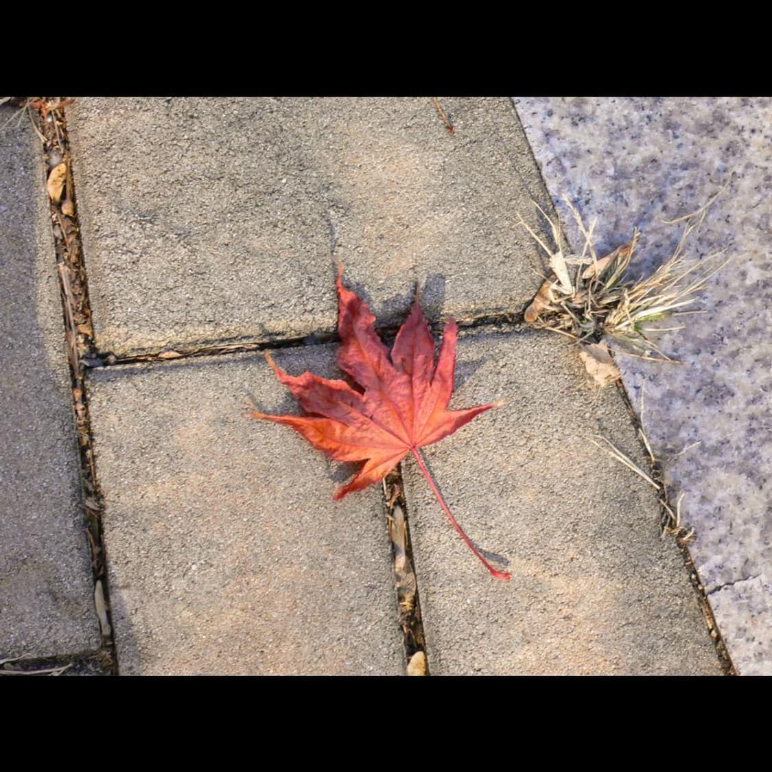 파나소닉 루믹스 DMC-FX7 미니멀 매트🖤빈티지 디카 디지털카메라 상품이미지4