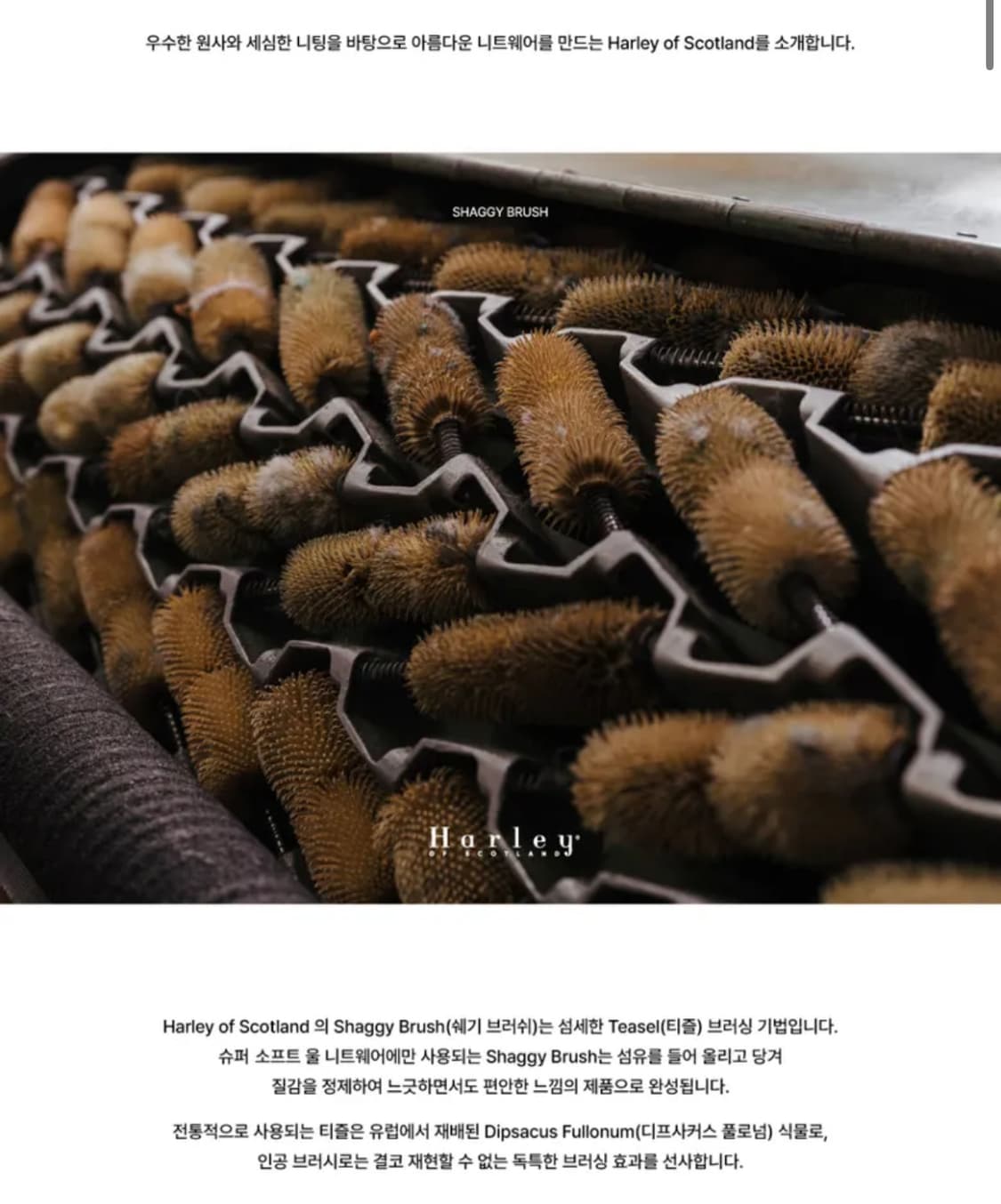 할리 오브 스코틀랜드 쉐기독 크루넥 니트-뉴 네이비 상품이미지3