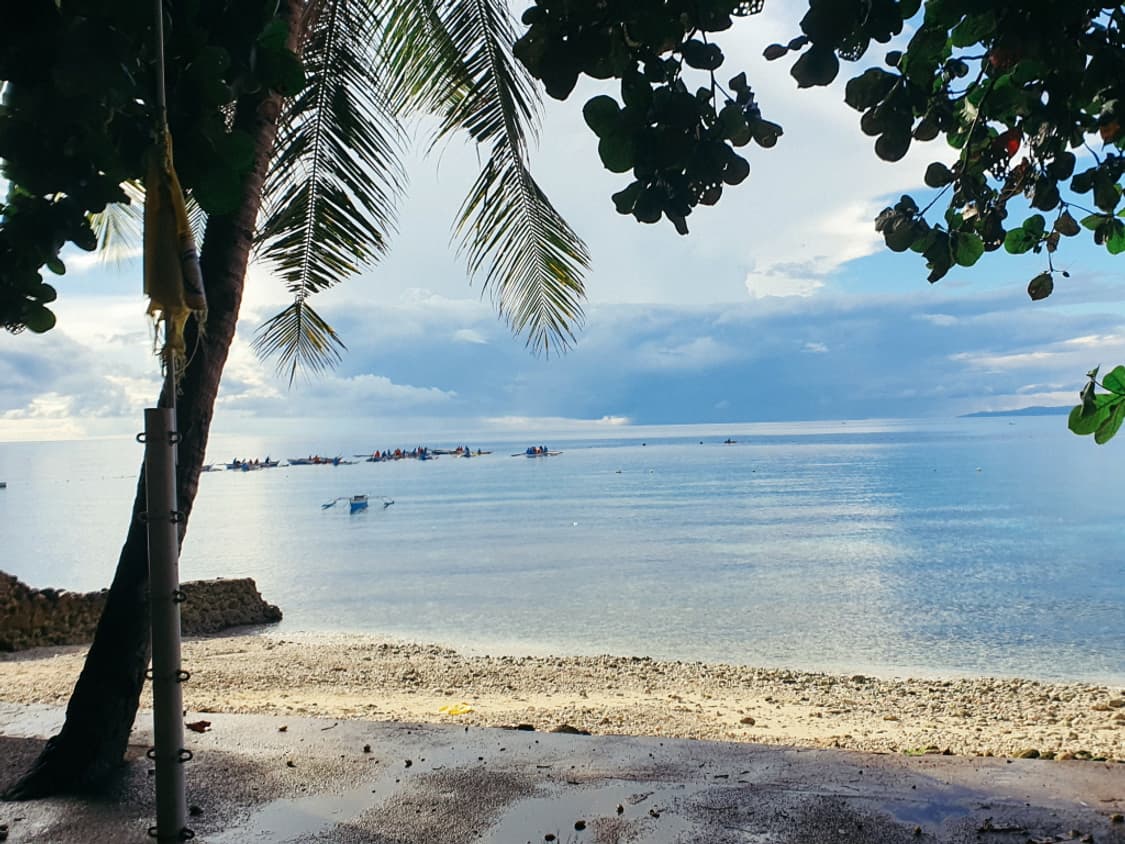 Fujifilm Finepix A220 (후지필름 파인픽스 A220) 상품이미지9