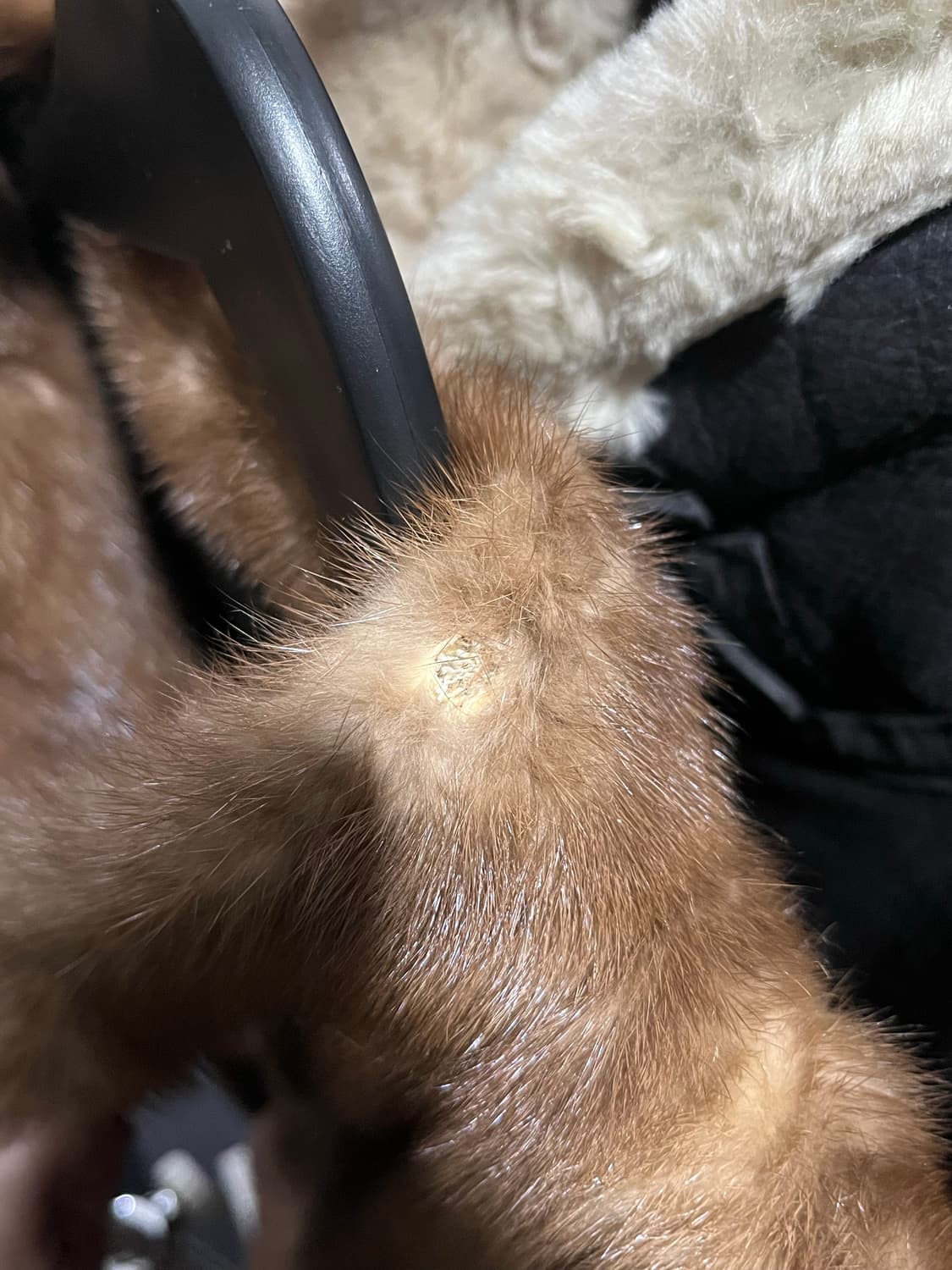 브라운 퍼자켓 상품이미지6