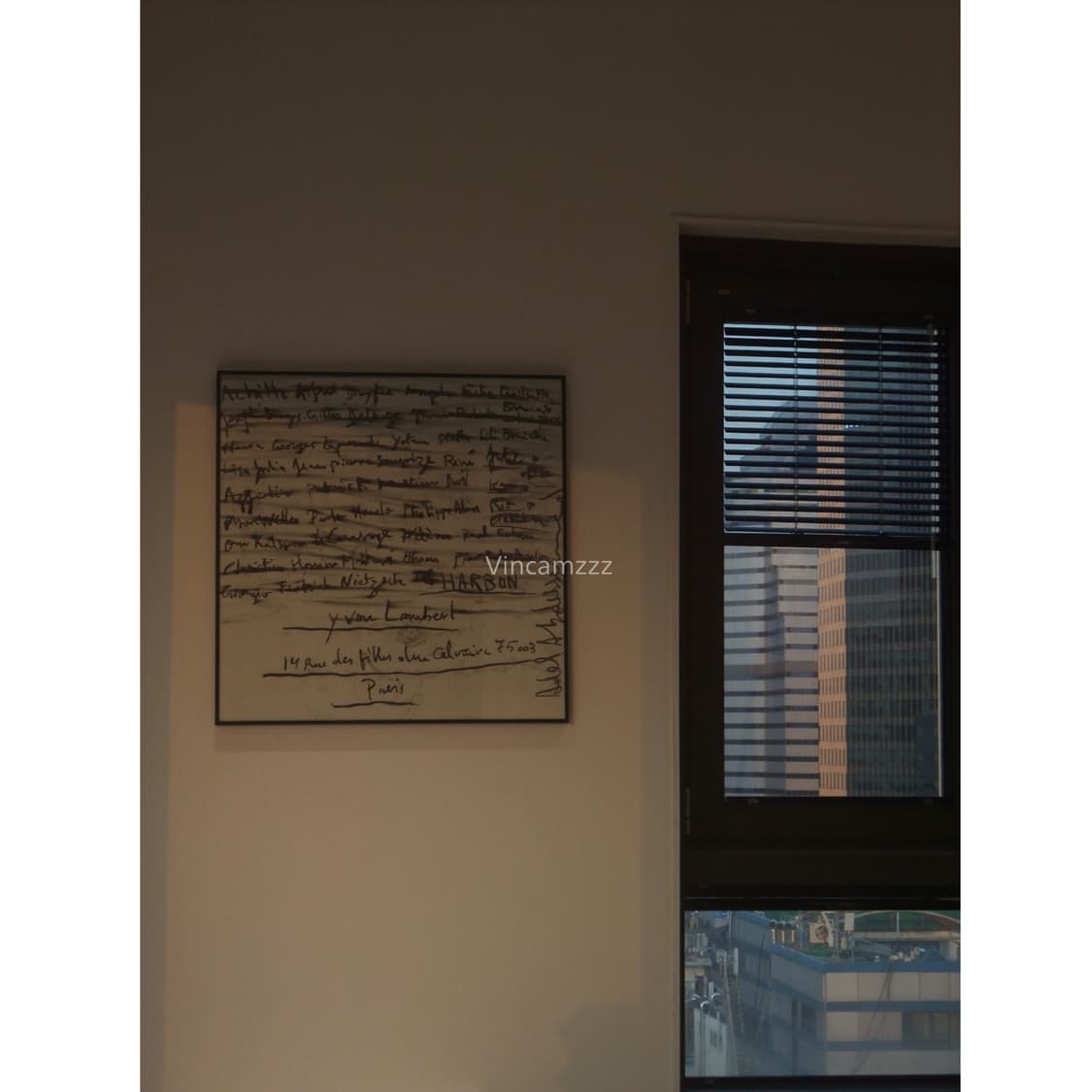 [누가영 디카] Fujifilm 후지 x5 파인픽스 F200EXR 카메라 상품이미지5