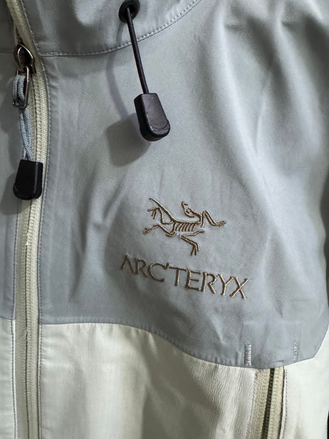 아크테릭스 베타 AR 아이스폴 그레이 M 캐나다  상품이미지2