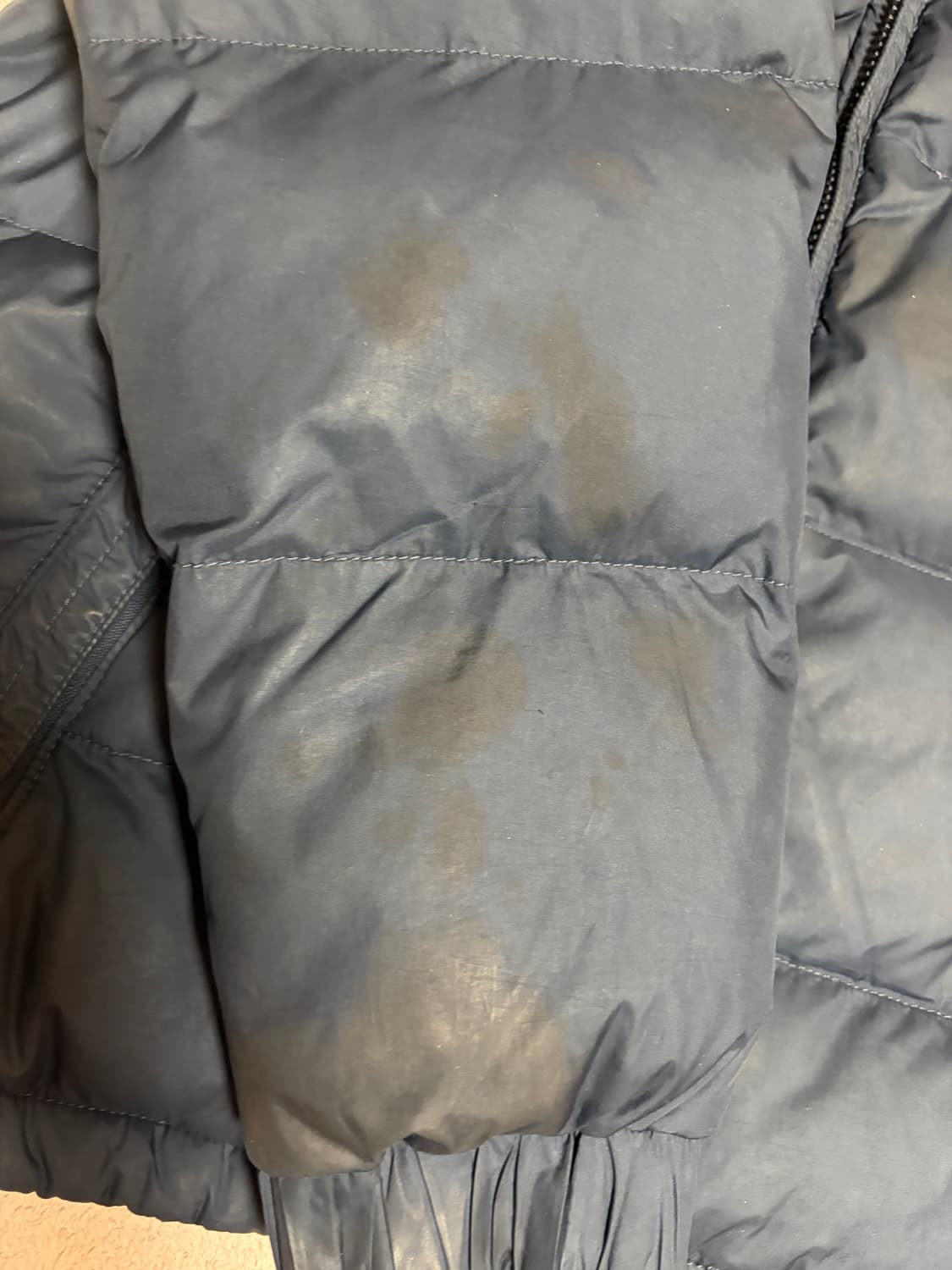 폴로 랄프로렌 빅포니 패딩 상품이미지5