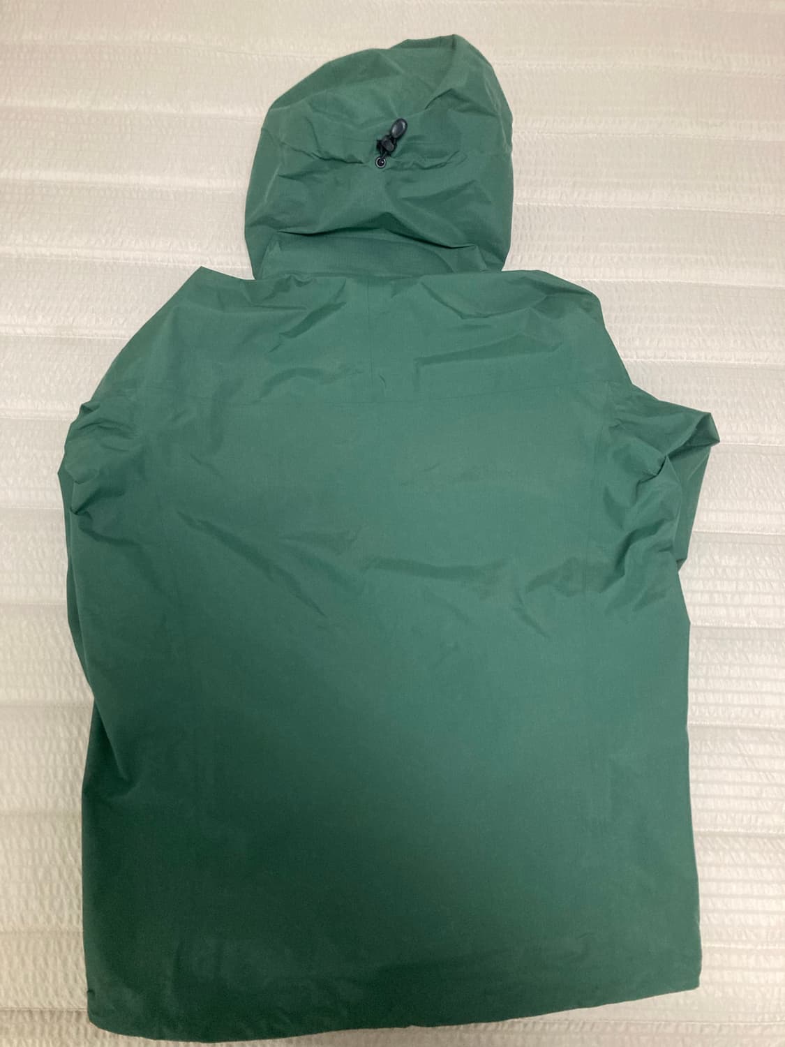 아크테릭스 구형 베타SL 고어텍스 자켓 M 상품이미지4