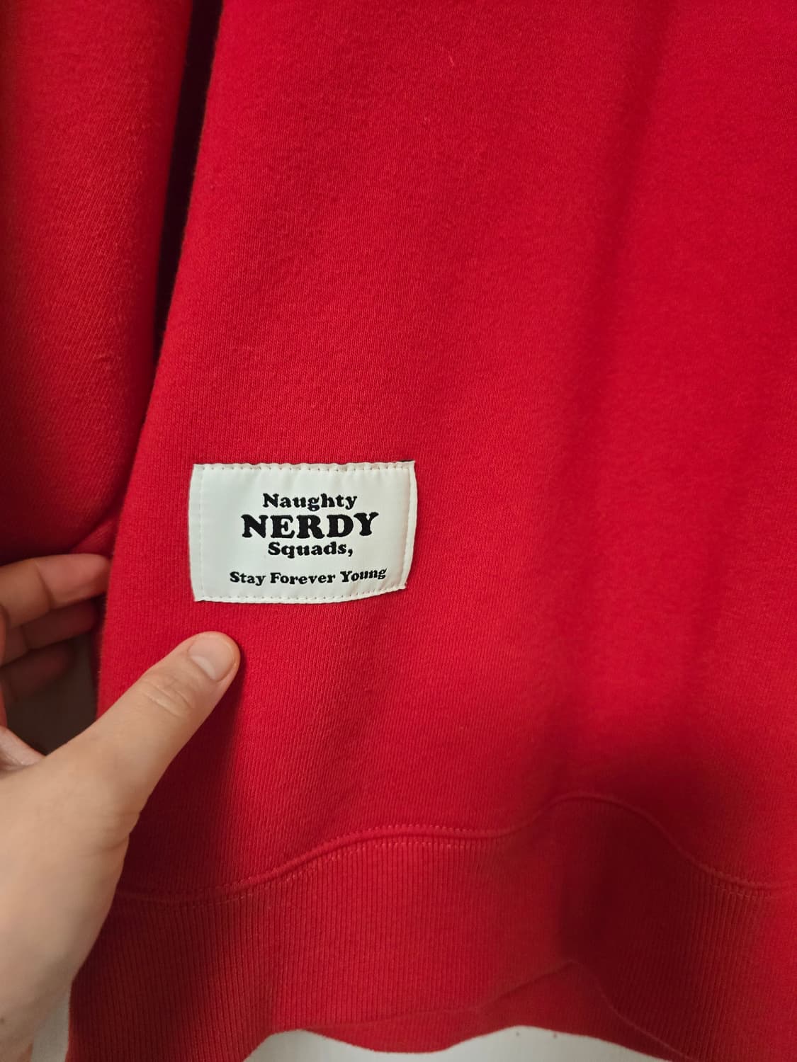 널디 오버핏 기모 도톰 맨투맨 L 상품이미지7