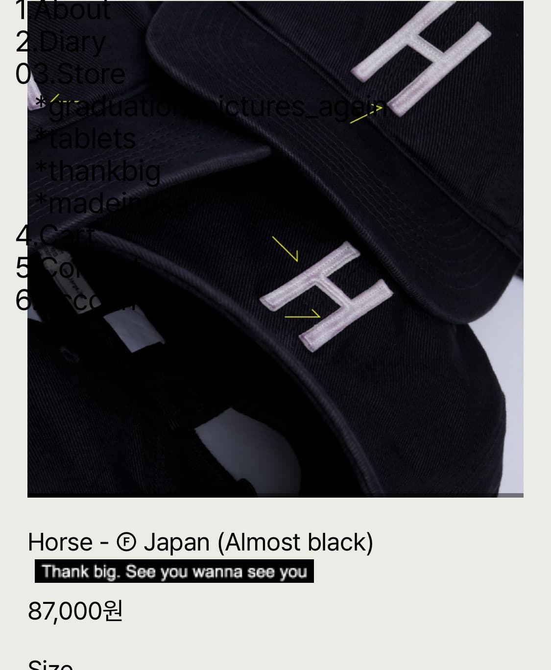 테프스토어즈 H 볼캡 L 사이즈 상품이미지2