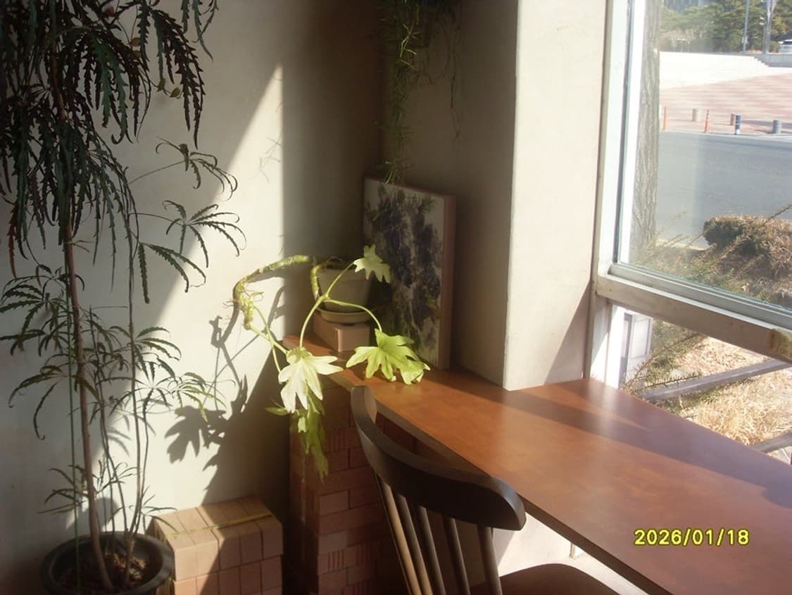 작례] 삼성 vluu l100 디지털 카메라 상품이미지4