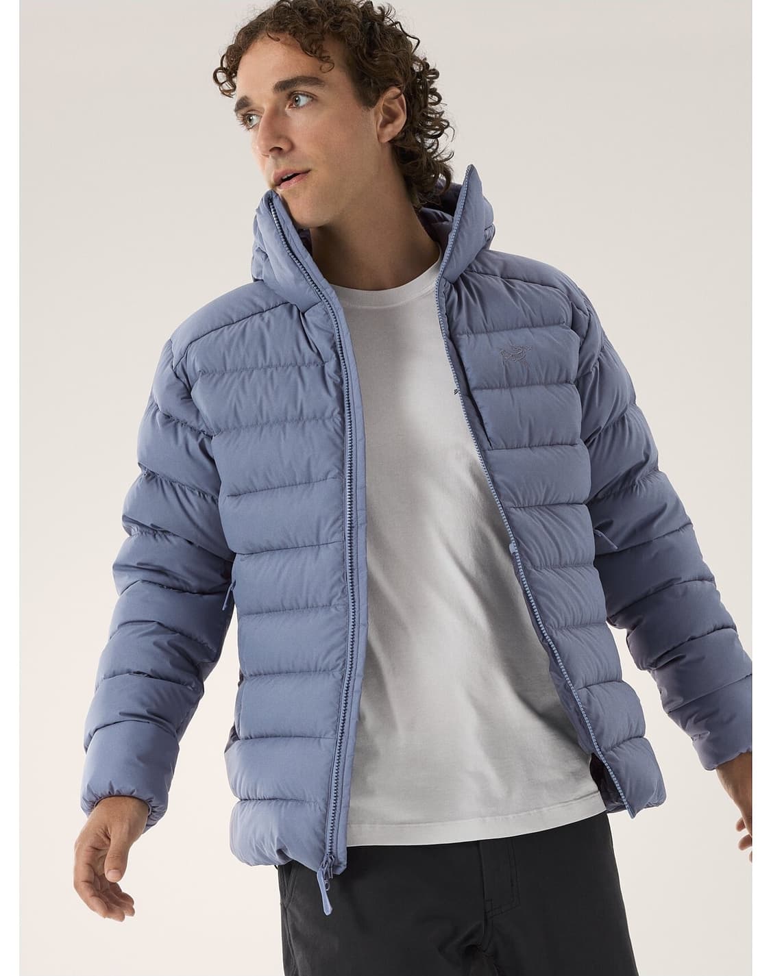 아크테릭스 토륨 후디 스트라터스 상품이미지2