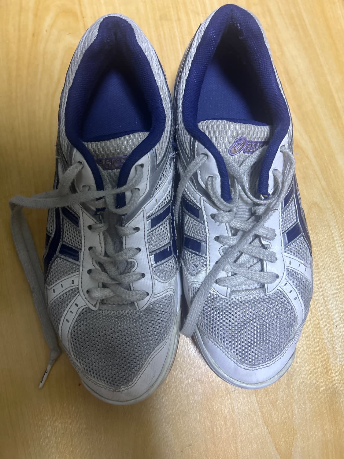 아식스 로테리브레 체대입시화 250 상품이미지1