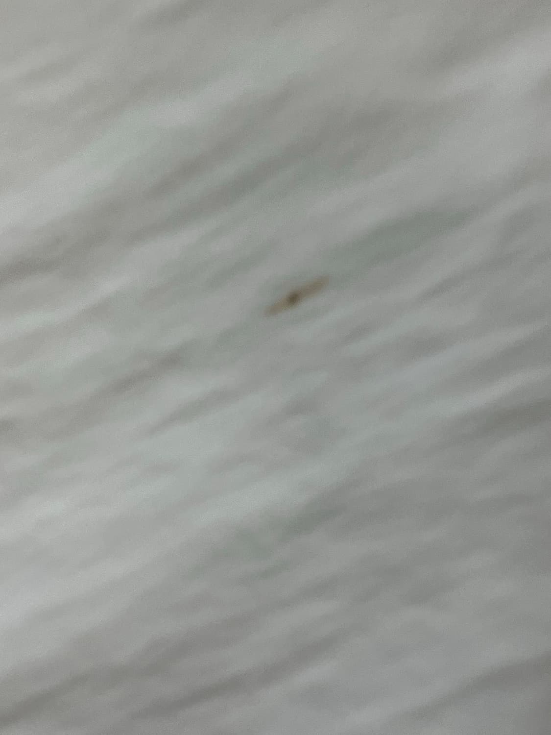 빈티지 캉캉 레이스 스커트 화이트 #csz2425 상품이미지3