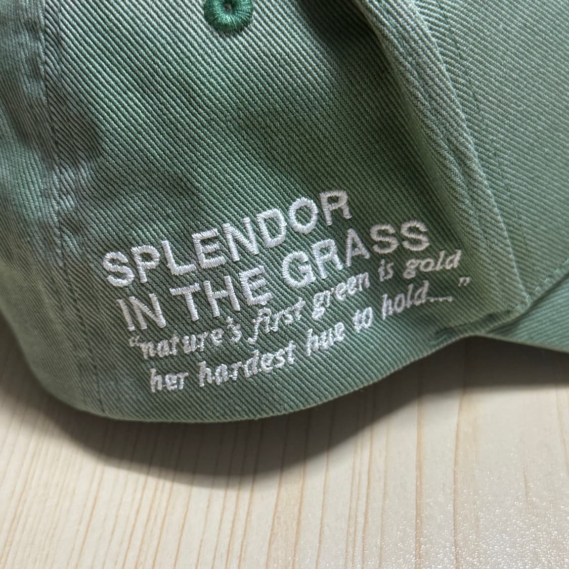 팔리할리우드 세인트 나탈리 우드 캡 상품이미지3