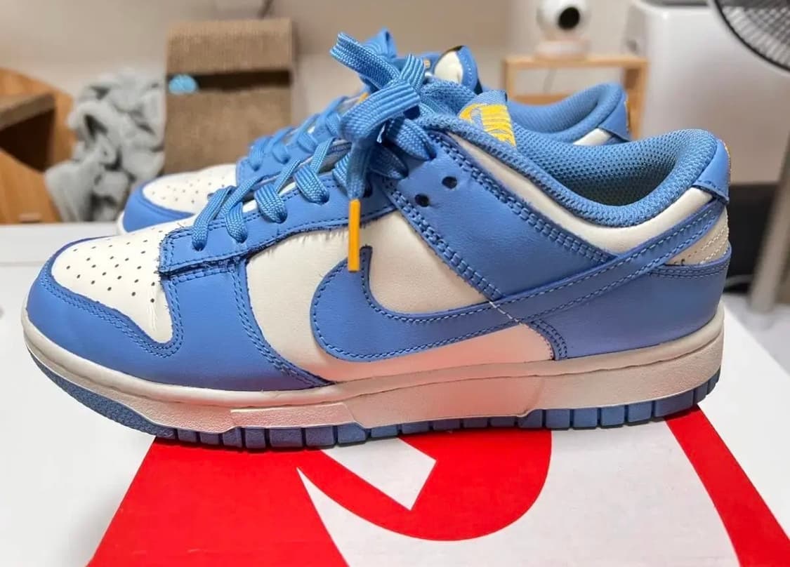 나이키 덩크로우 코스트 240 판매 상품이미지2