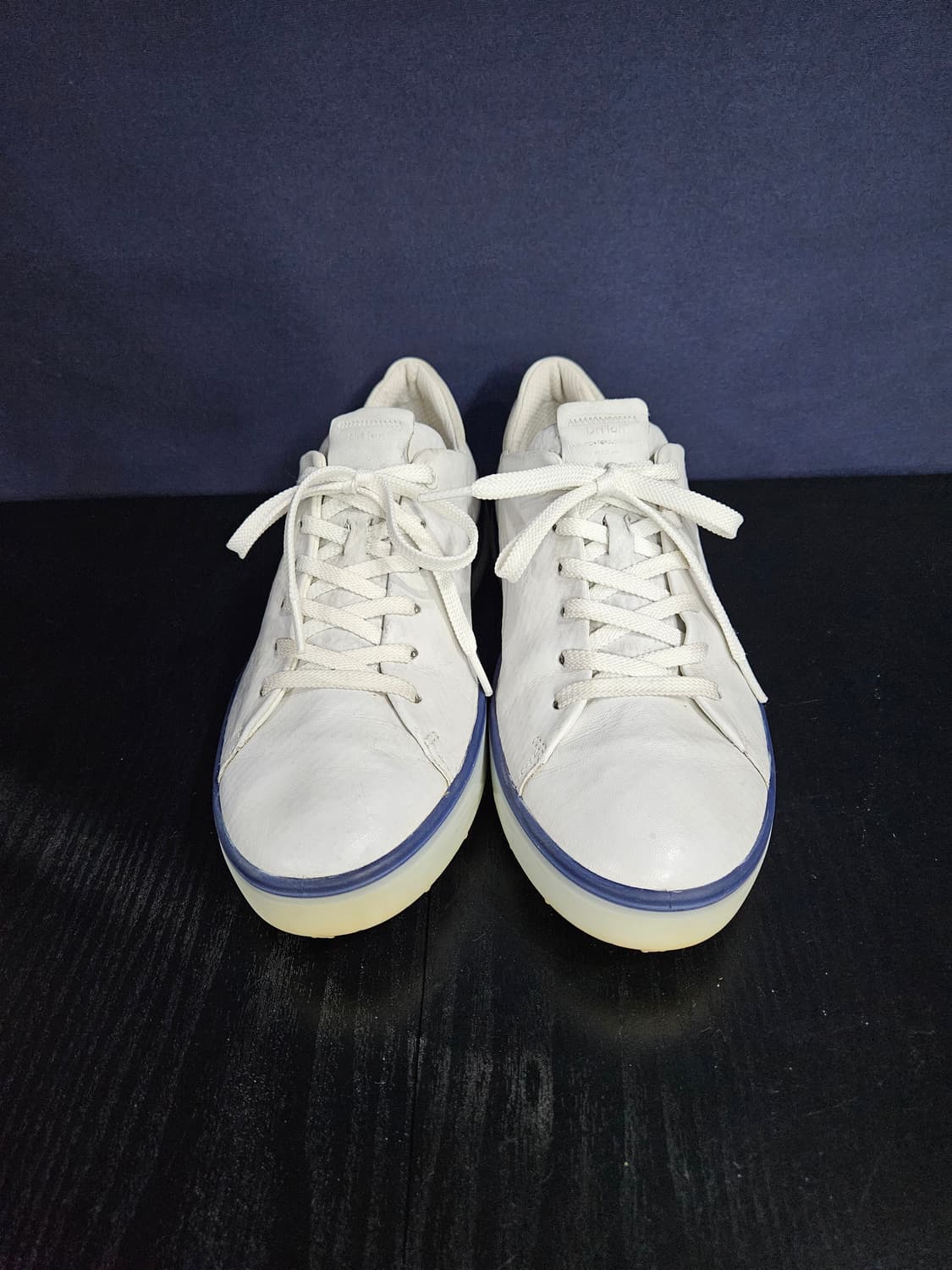 에코 트레이 화이트 남성 260~265 골프화 상품이미지1