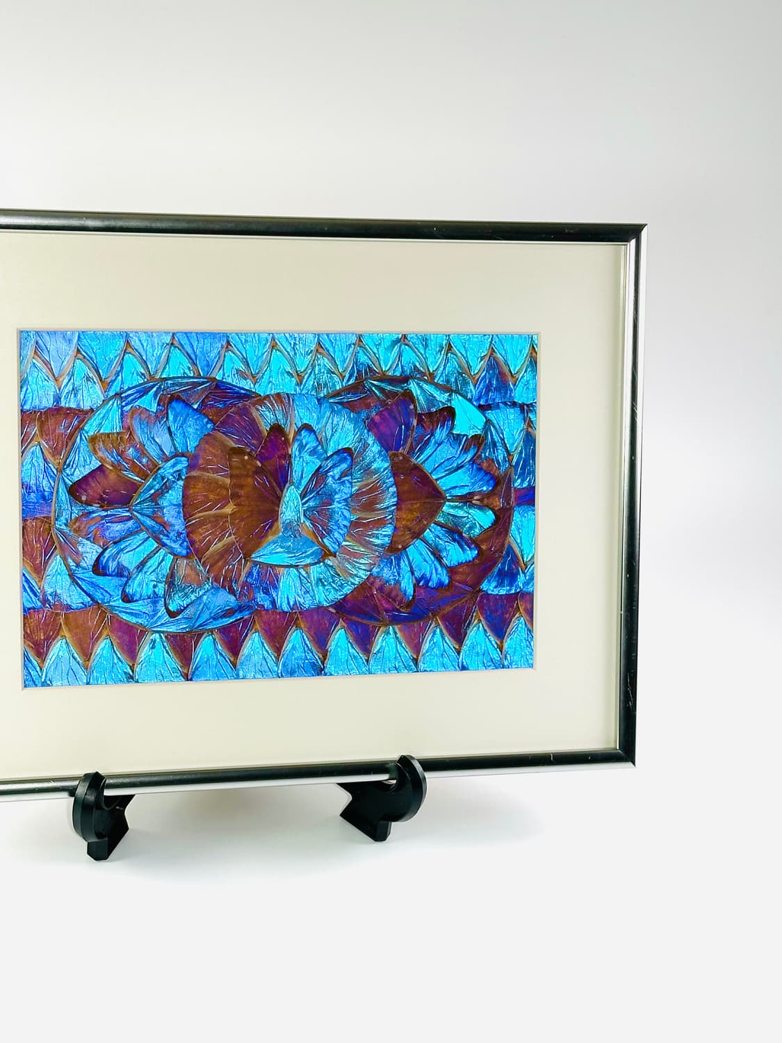 빈티지 브라질 모르포 버터플라이 윙 콜라주 아트 액자 상품이미지4