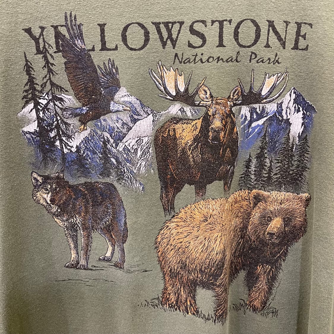 00's YELLOWSTONE 상품이미지2