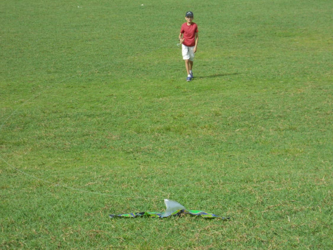 (메탈릭 핑크🎀) 니콘 Nikon COOLPIX S570 상품이미지8