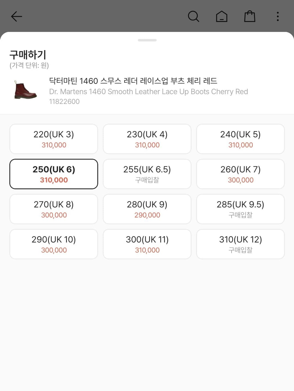 닥터마틴 1460 스무스 레더 레이스업 부츠 체리 레드 250 상품이미지2