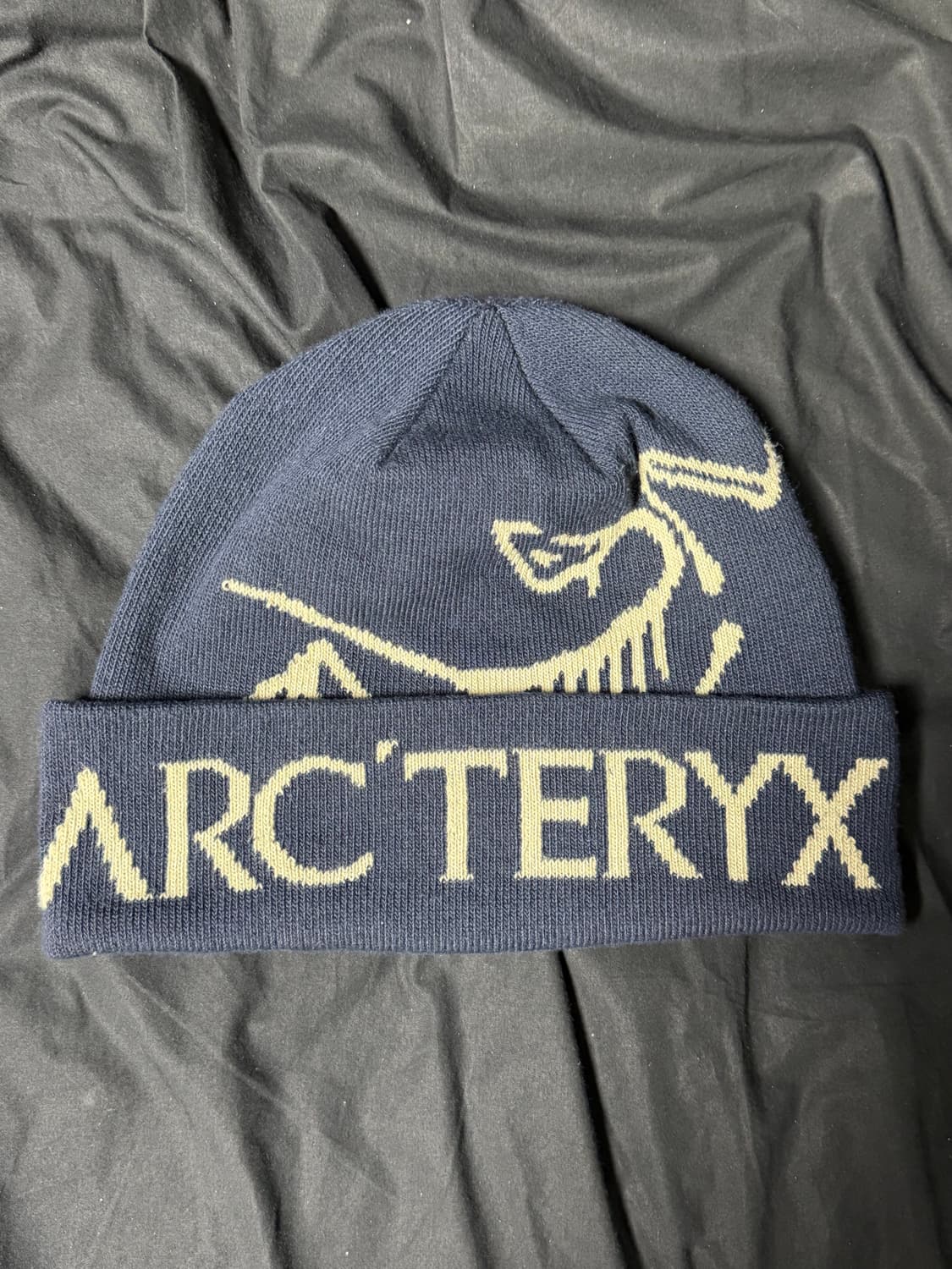 Arcteryx Bird Word Toque Black Sapphire 상품이미지2