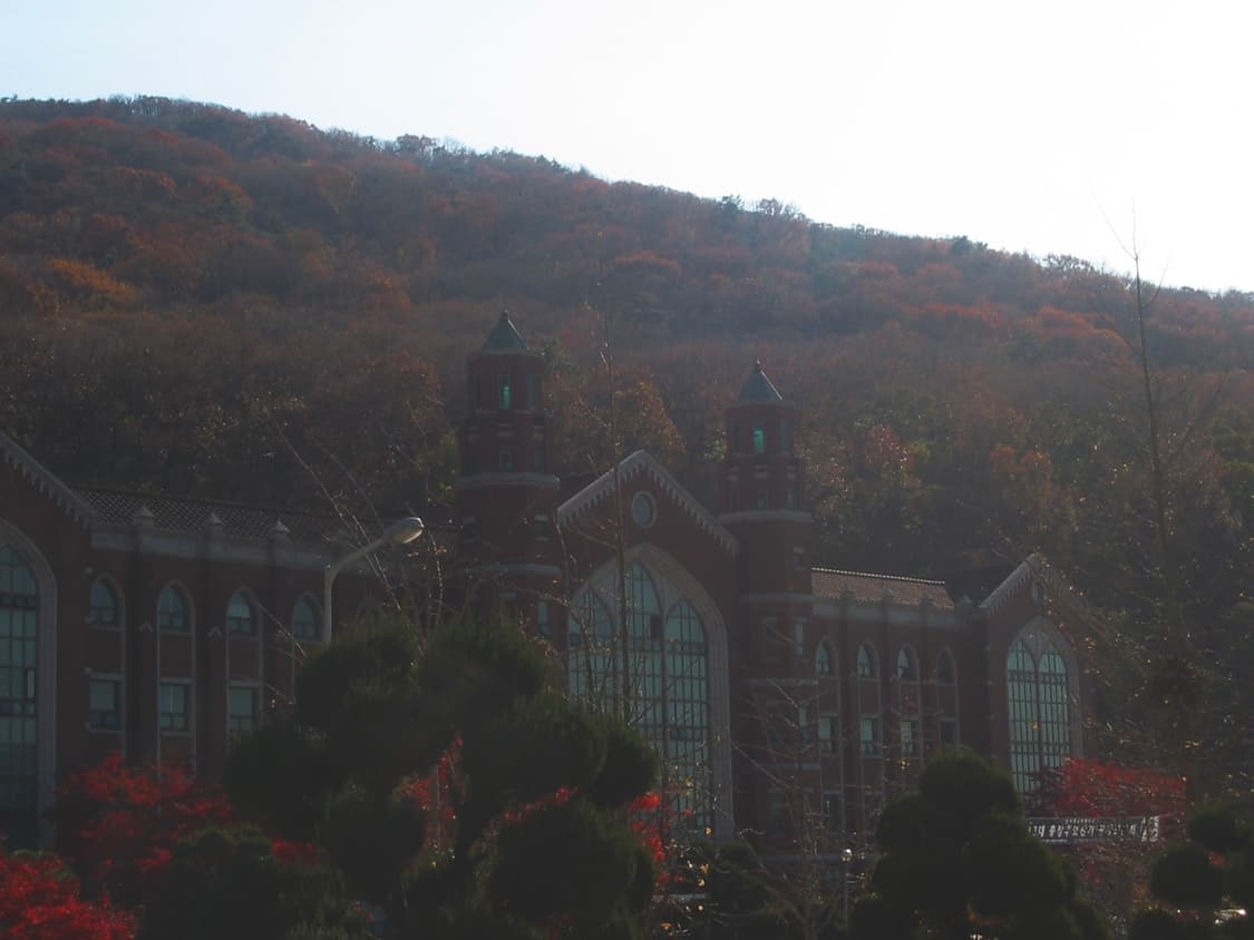 캐논 a20 빈티지 카메라 (작례 포함) 상품이미지10