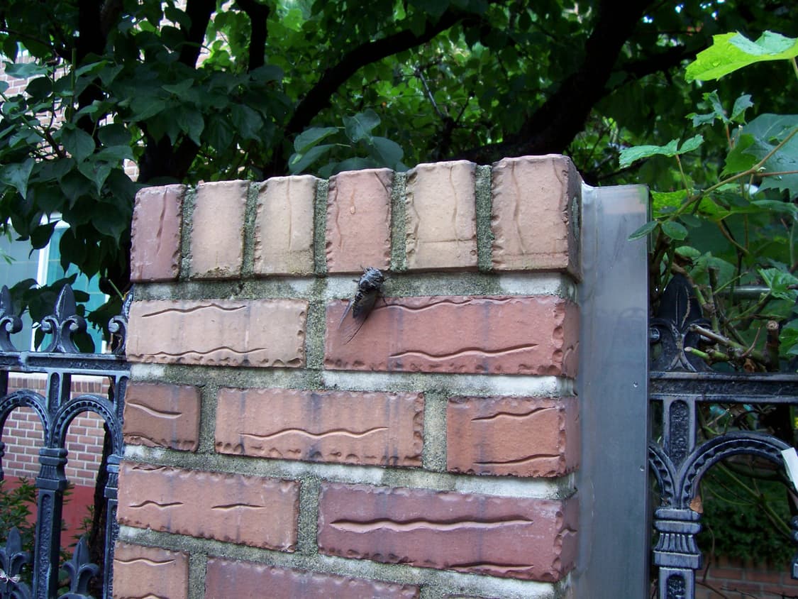 코닥 이지쉐어 C330 상품이미지8