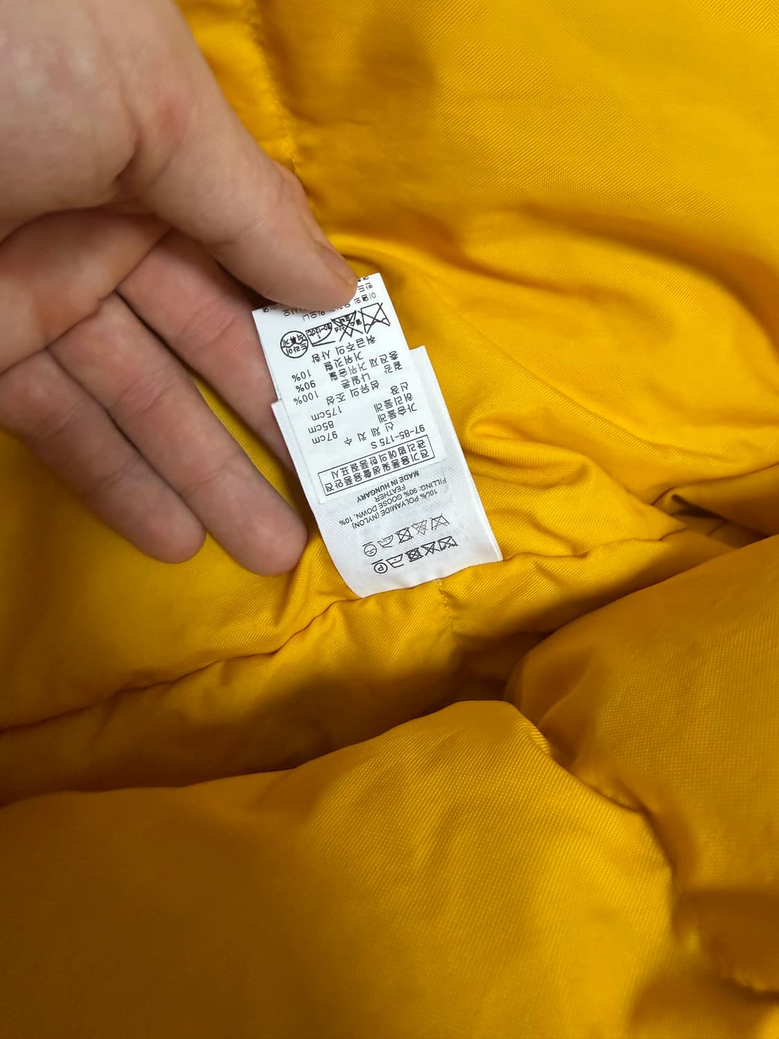 드리스반노튼 상품이미지3