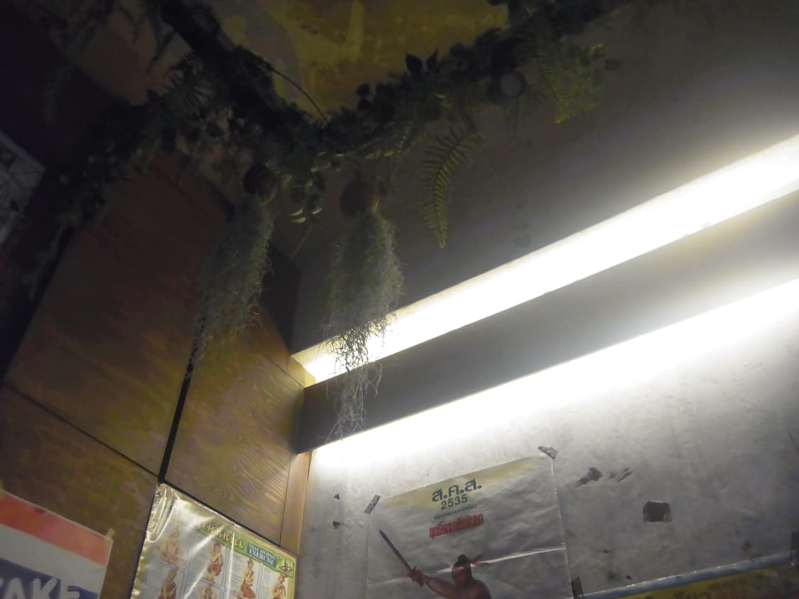 Ricoh PX 디지털 카메라(작례 O) 상품이미지8