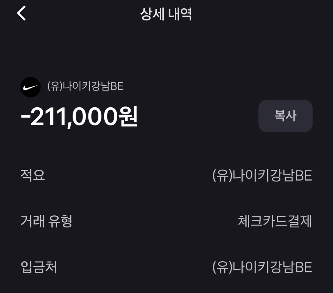 나이키 페가수스 플러스 화이트 울프 그레이 상품이미지6