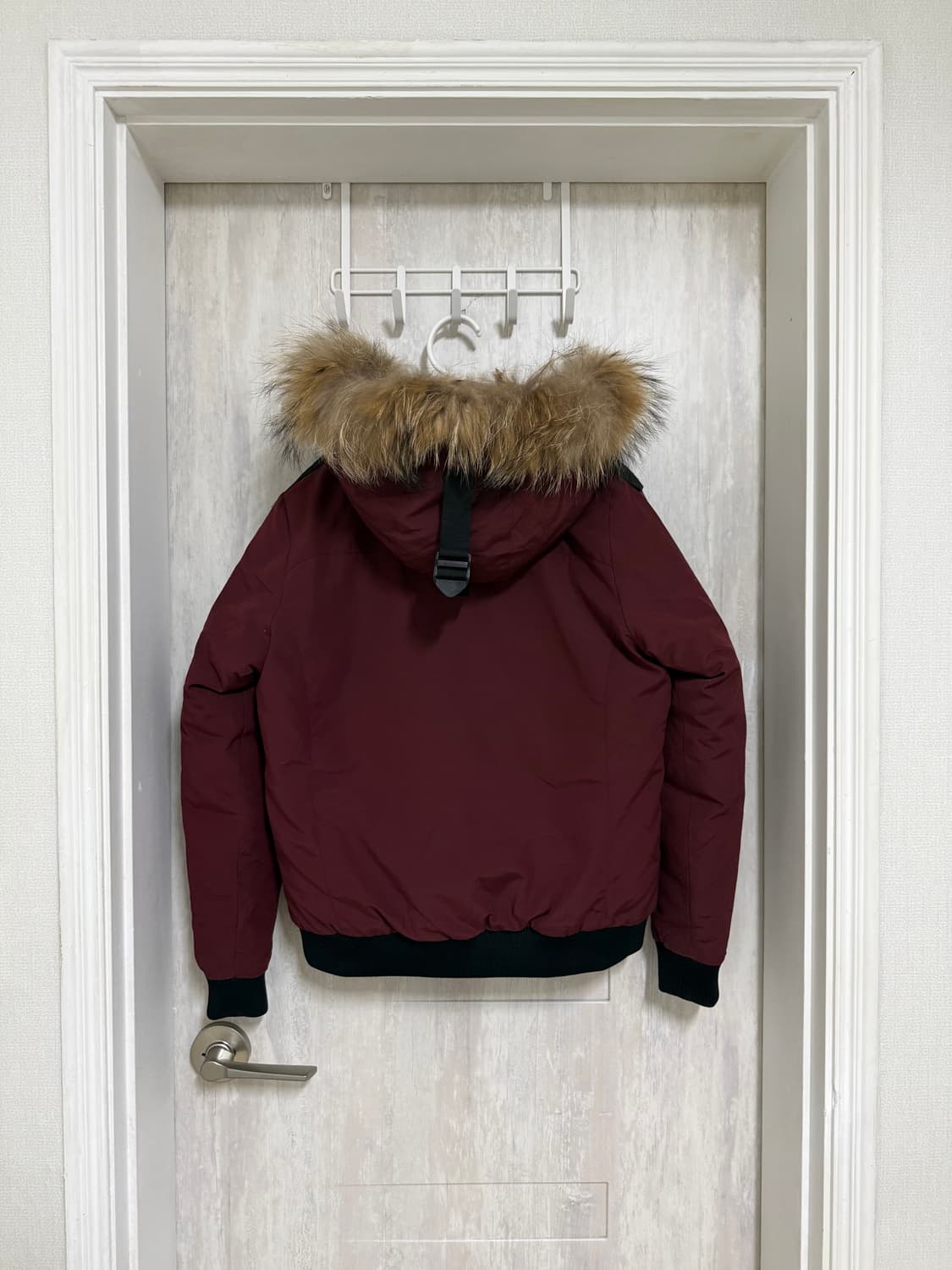 여성 95 / 머렐 라쿤털 스투키 숏패딩 상품이미지7