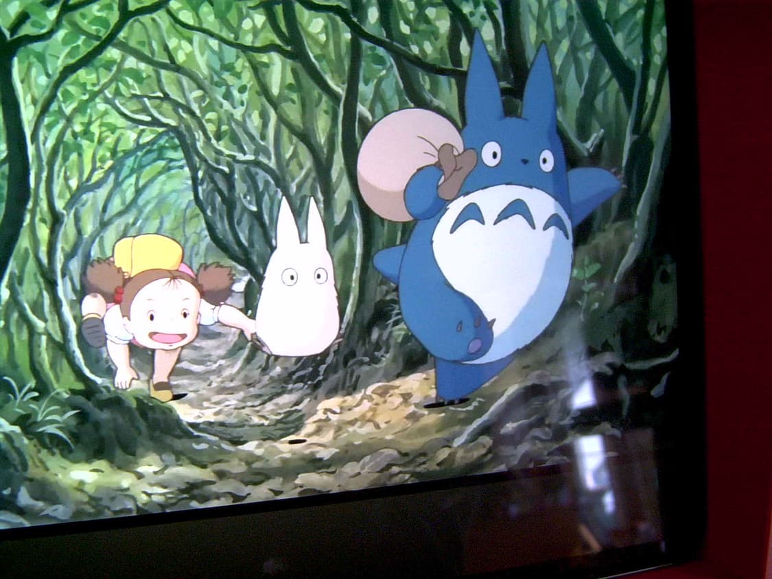 작례)RICOH Caplio 리코 카프리오 RR10 빈티지 디카 상품이미지3