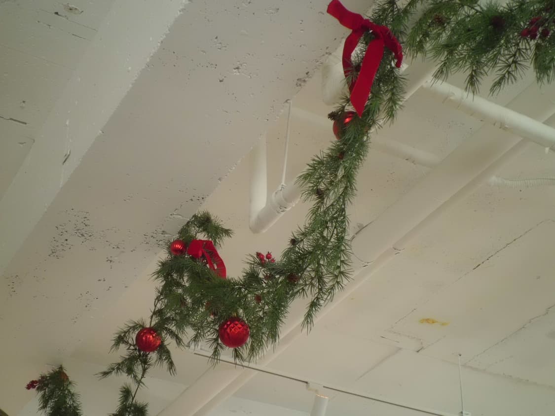 코르티스 엄성현 디카 casio exzs5 exz27 상품이미지6