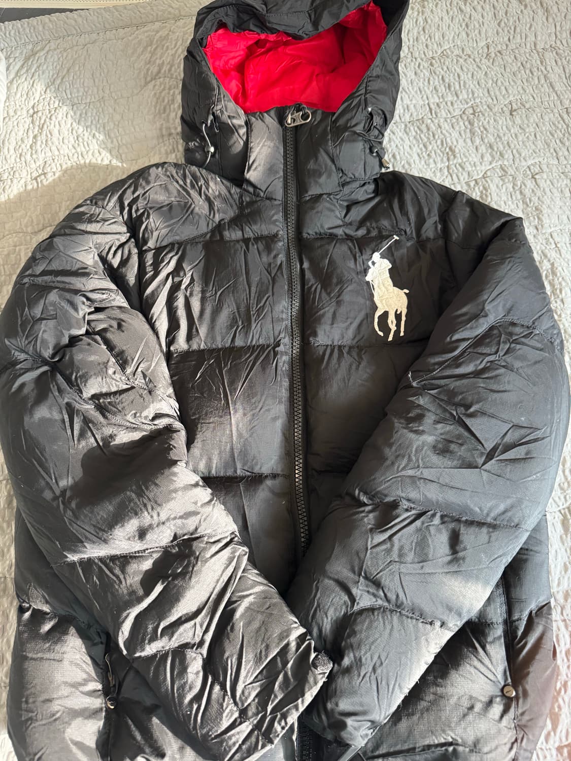 폴로 빅포니 패딩 상품이미지2