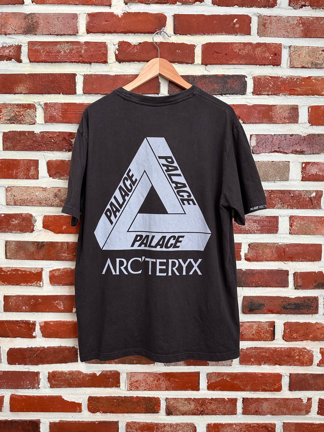 (XL)팔라스x아크테릭스 반팔 블랙 상품이미지4