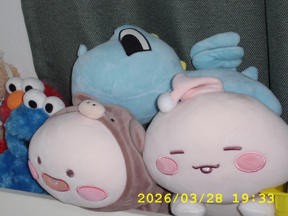 삼성 케녹스 D4 | 작례 O 상품이미지10