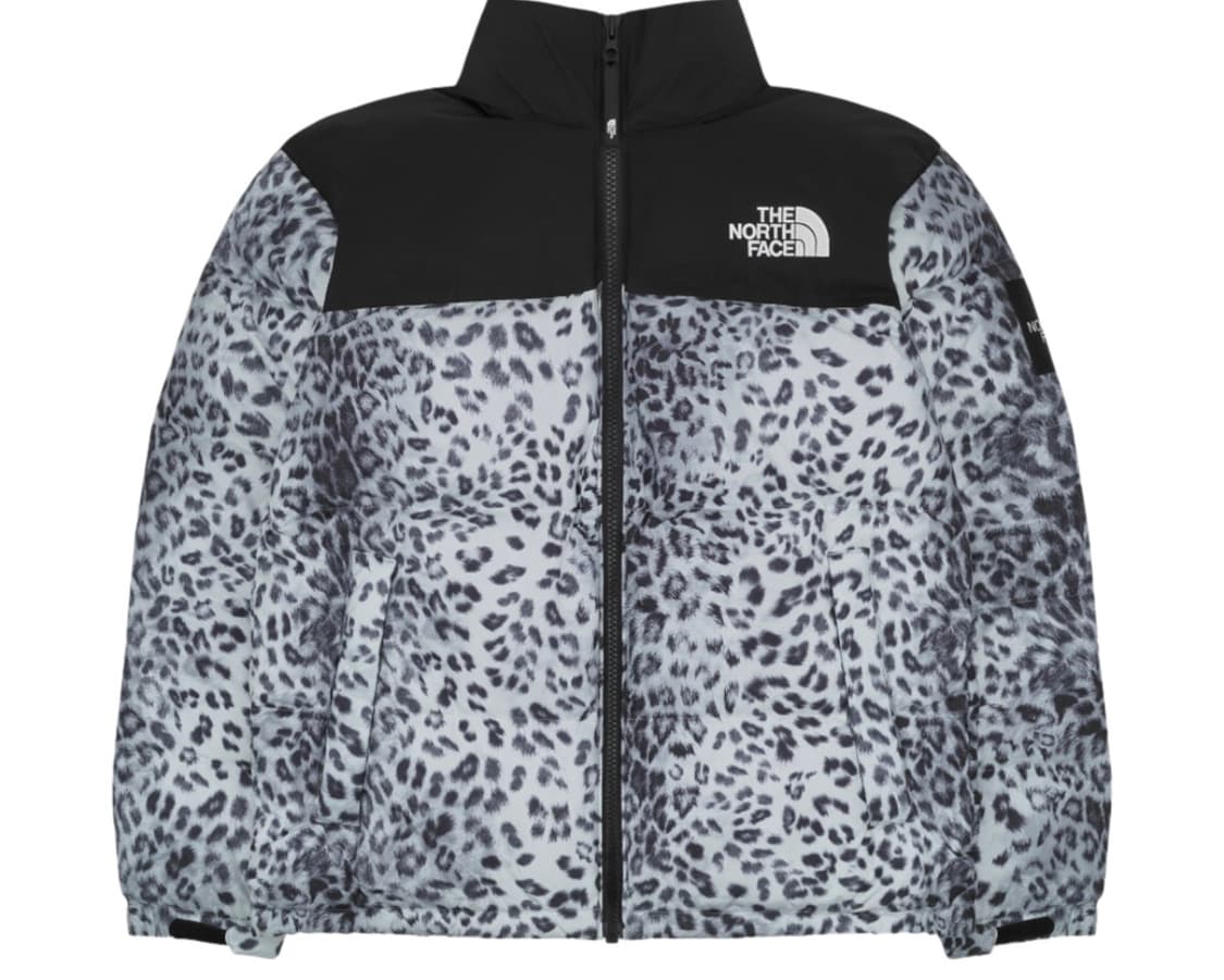 노스페이스 화이트 라벨 노벨티 눕시 다운 자켓 프린트 실버(M) 상품이미지1