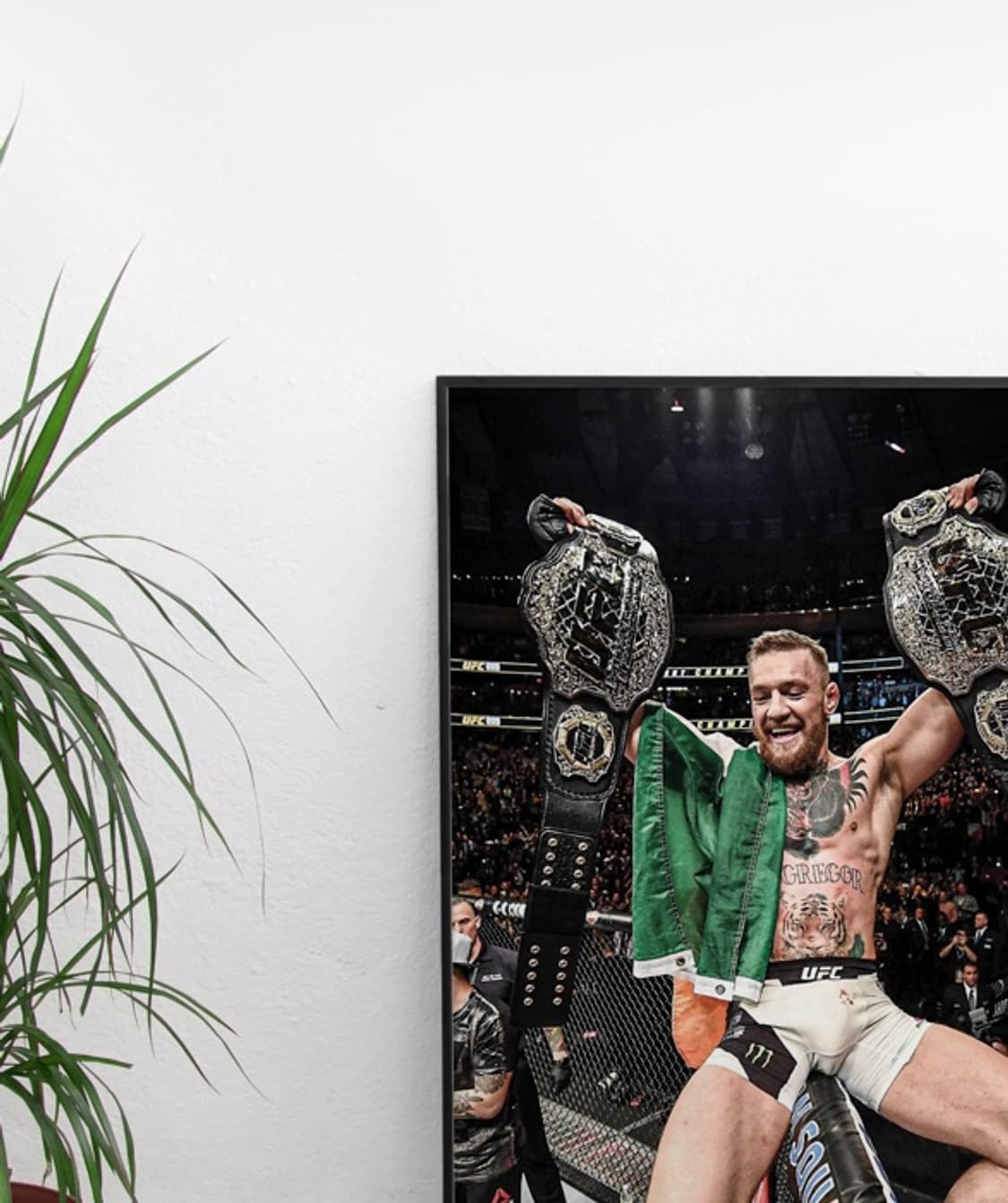 코너 맥그리거 UFC 액자 50x70cm 인테리어 소품 상품이미지2