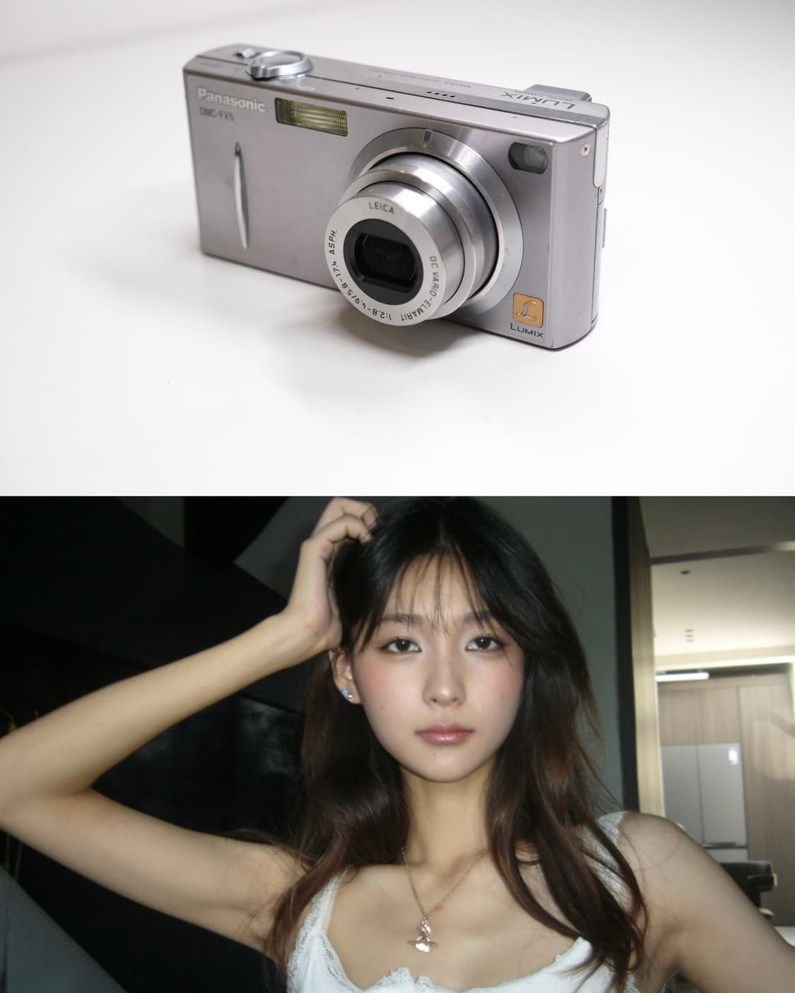 Panasonic DMC-FX5 상품이미지2