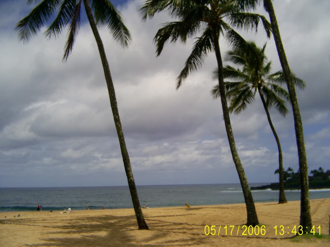 작례O 초소형 필름 감성 삼성 케녹스 d402 디지털카메라 빈티지 디카 상품이미지5