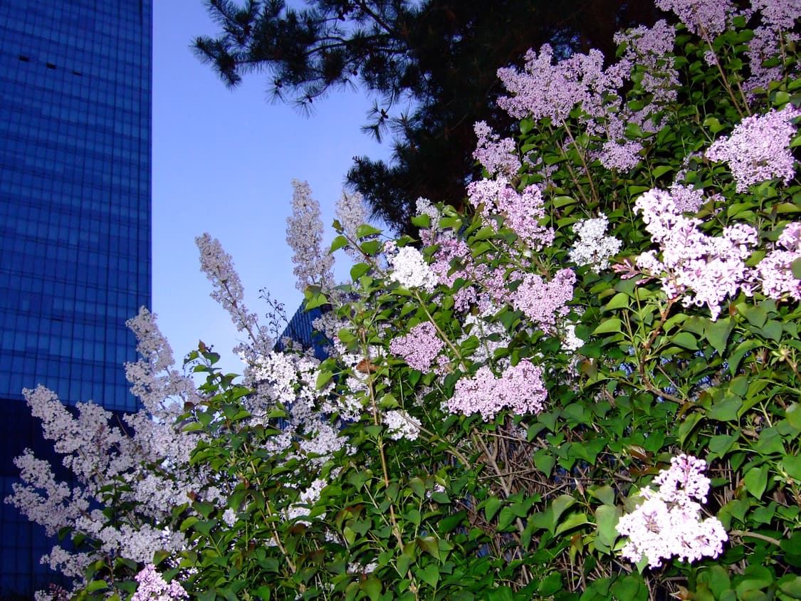 [미품 풀박스] 후지필름 파인픽스 F30 상품이미지10