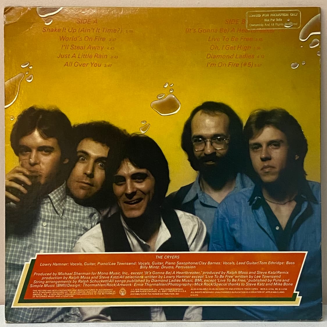 (LP) The Cryers - The Cryers 상품이미지2